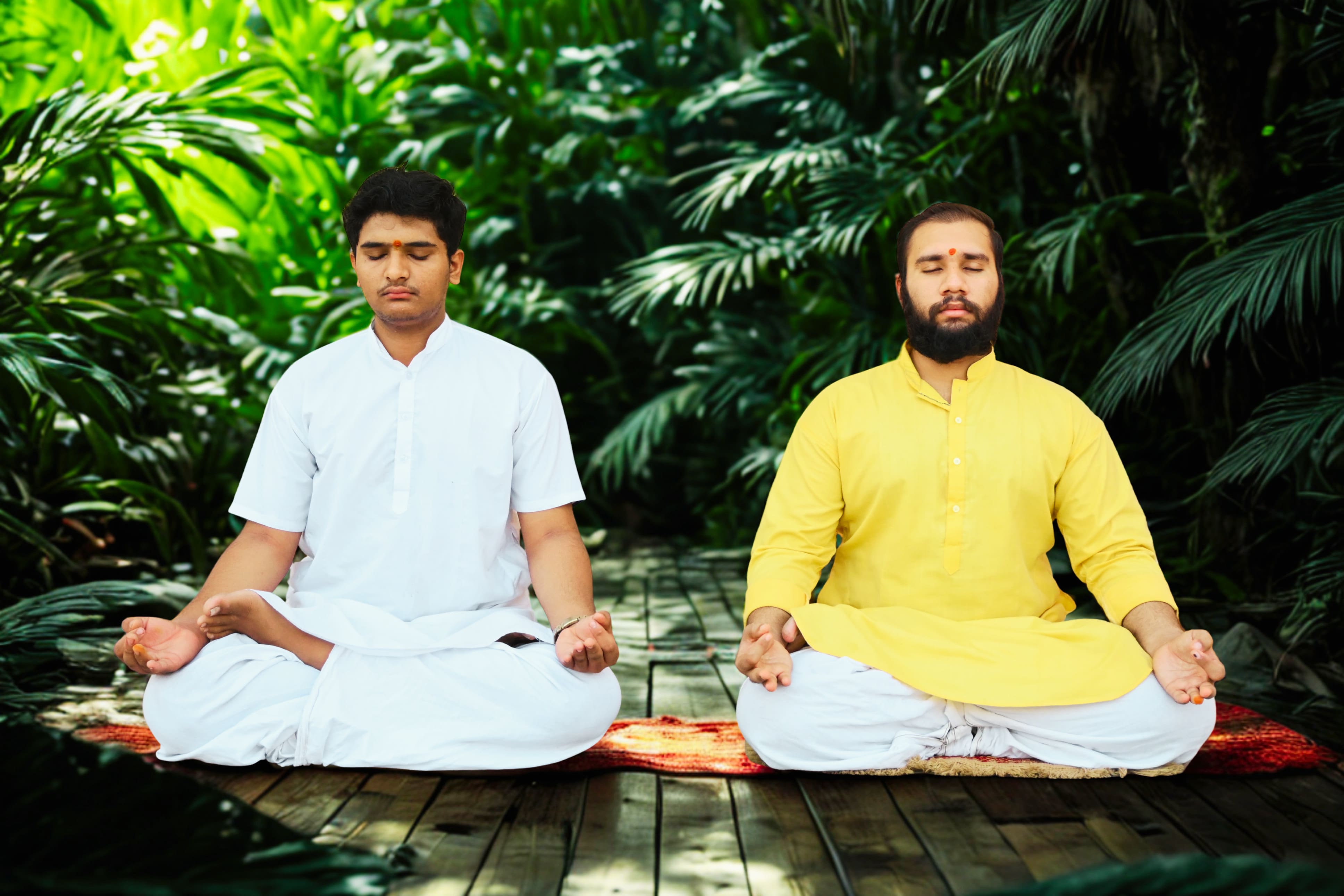 Yoga & Meditation